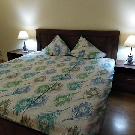 Raina Lux Apartment リガ エクステリア 写真