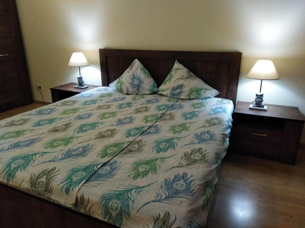 Raina Lux Apartment リガ エクステリア 写真