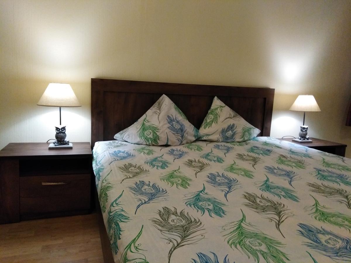 Raina Lux Apartment リガ エクステリア 写真