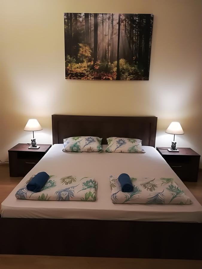 Raina Lux Apartment リガ エクステリア 写真
