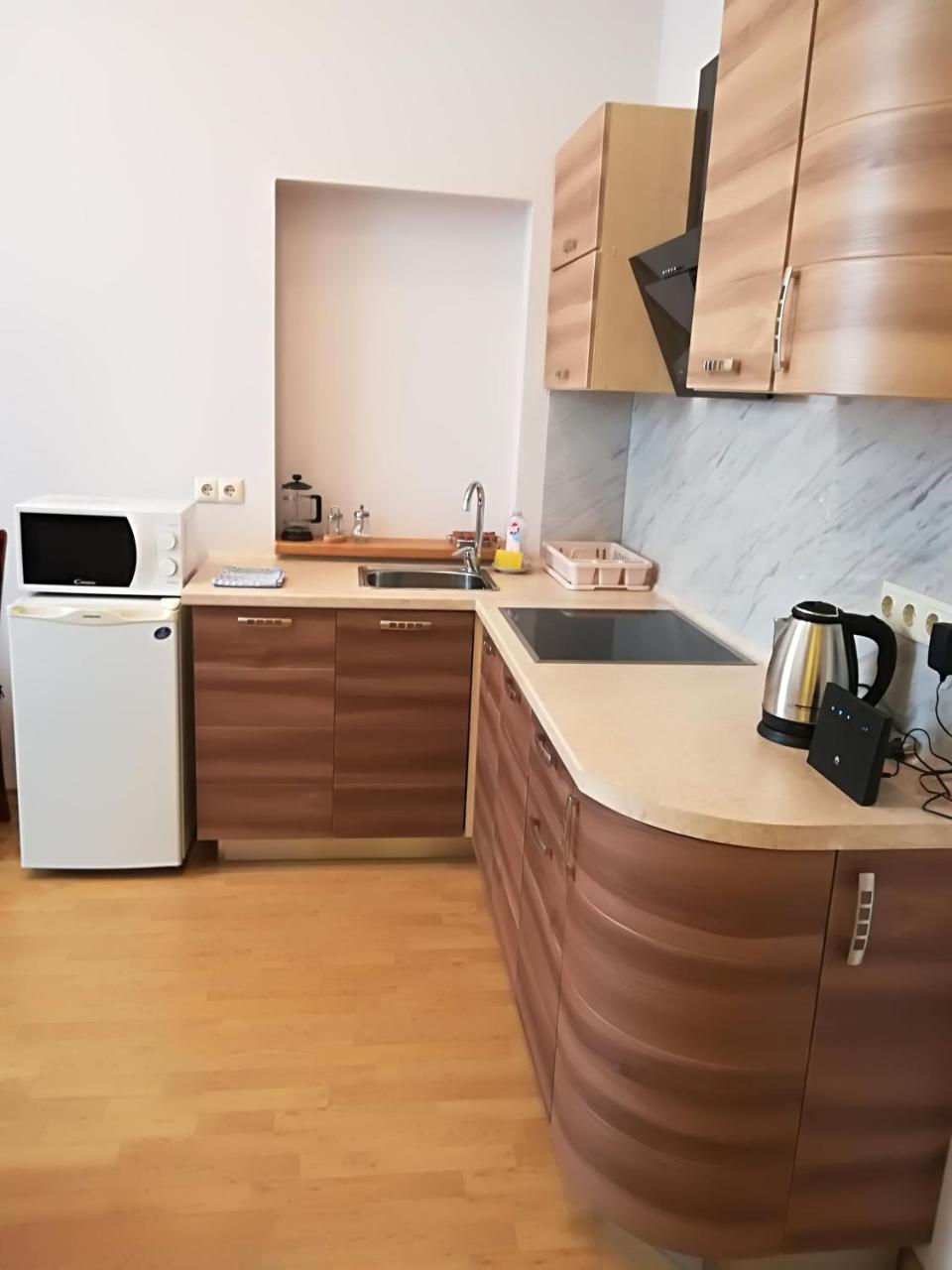 Raina Lux Apartment リガ 部屋 写真
