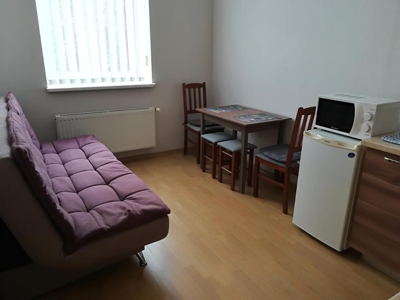 Raina Lux Apartment リガ 部屋 写真