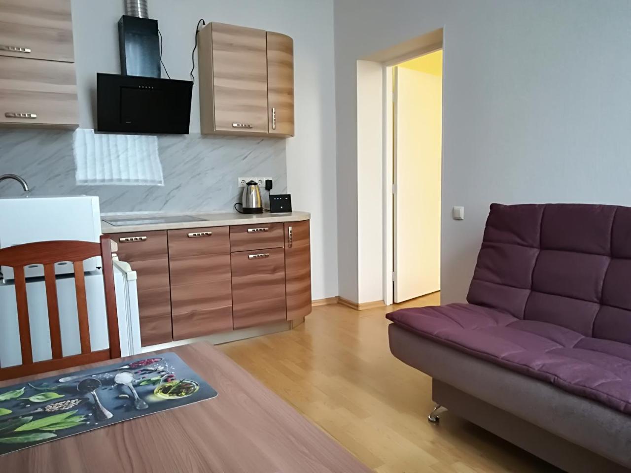 Raina Lux Apartment リガ 部屋 写真