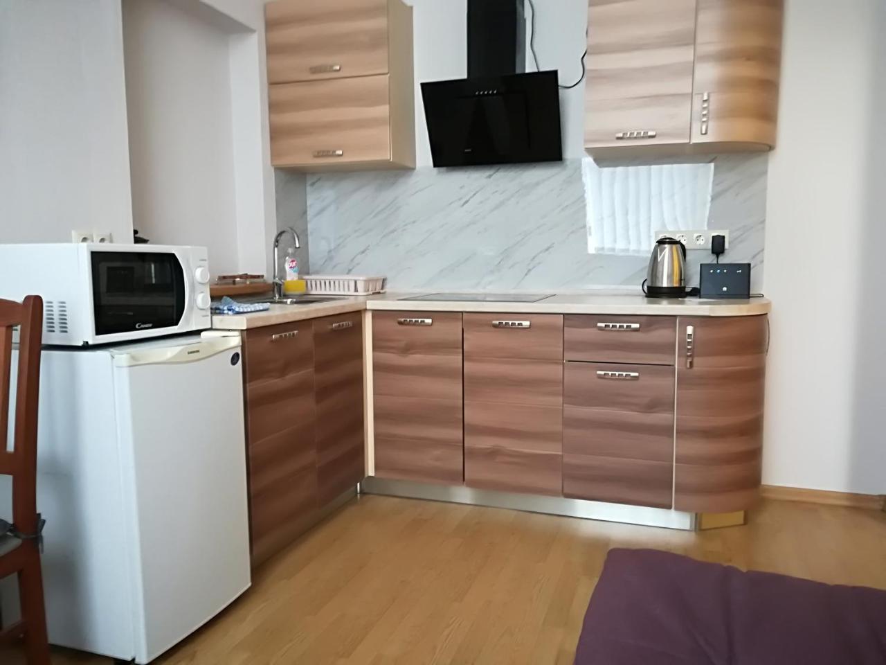 Raina Lux Apartment リガ 部屋 写真